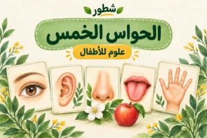 ورقة عمل الحواس الخمس للأطفال PDF