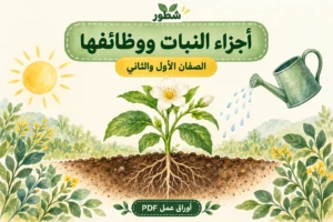 ورقة عمل أجزاء النبات ووظائفها للأطفال PDF مع الإجابات