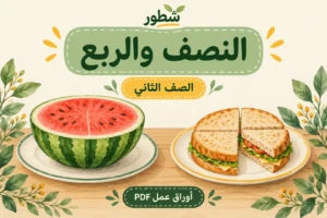 ورقة عمل النصف والربع للصف الثاني PDF مع الإجابات