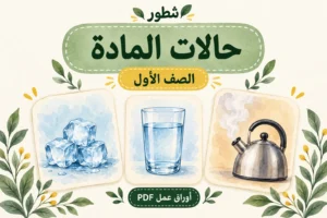 ورقة عمل حالات المادة للصف الأول PDF مع الإجابات